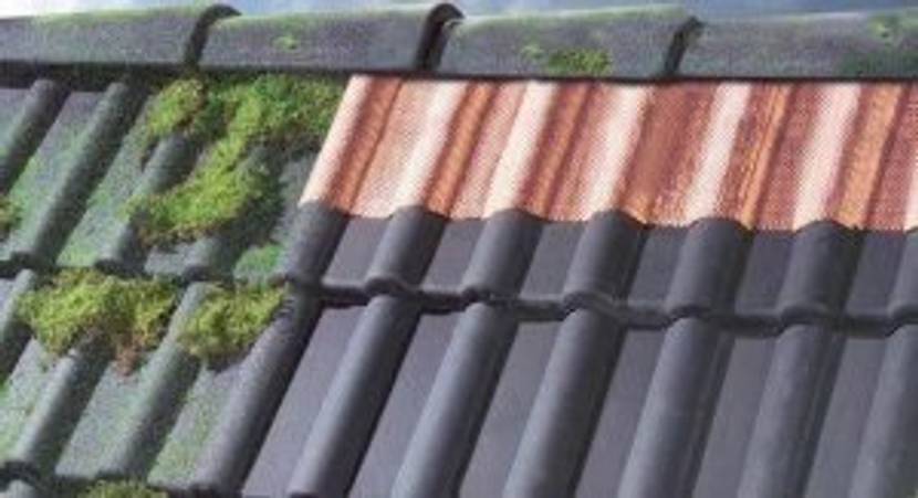 Kupfer verhindert Moos auf den Dachziegeln