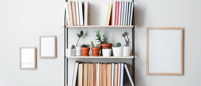 Regal mit Büchern und Dekoration an einer weißen Wand.