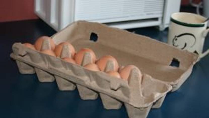 Eier in Eierpackung