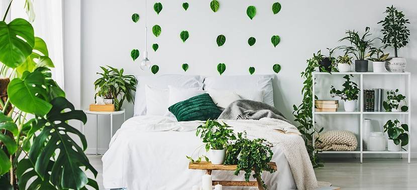 einrichtungstrends-urban-jungle