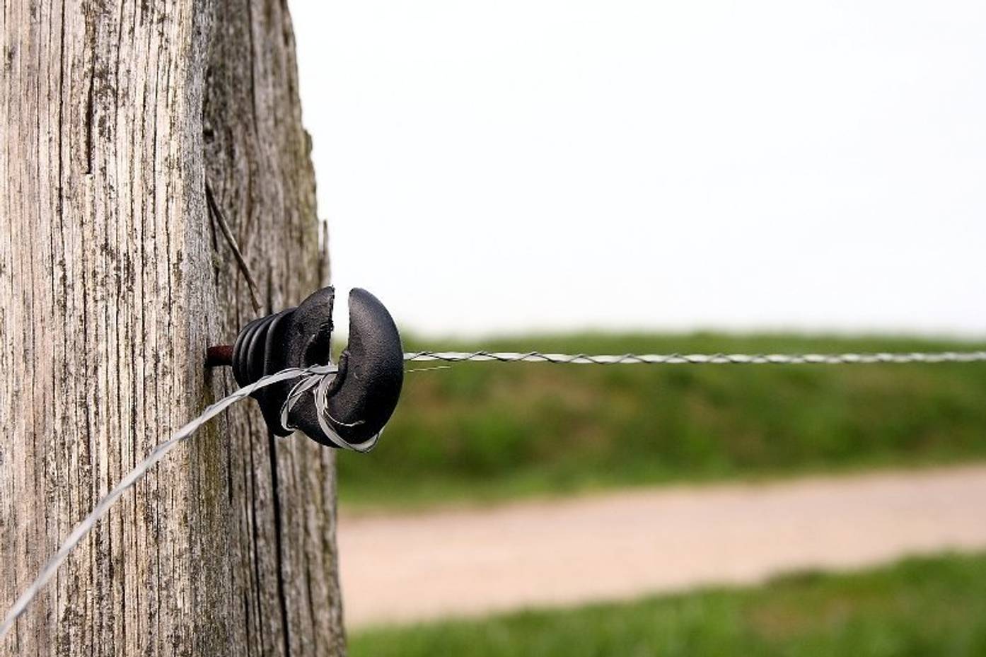 Weidezaun selber bauen Elektrischer Weidezaun heimwerker.de