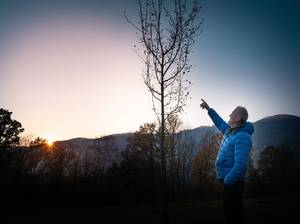 Mann zeigt auf einen Elsbeerenbaum im Abendlicht der untergehenden Sonne