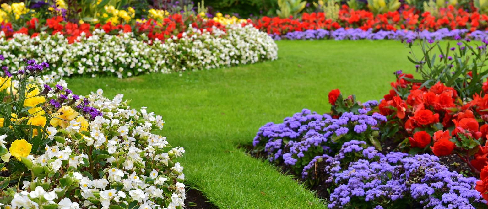 Englischen Garten anlegen Einen Naturgarten in 3 Schritten gestalten