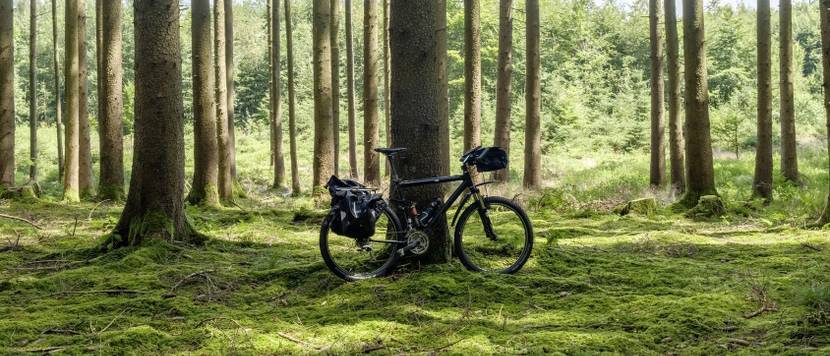Fahrrad-Lenkertasche Test