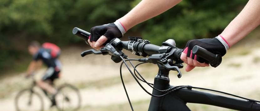 fahrradhandschuhe-erwachsene-test