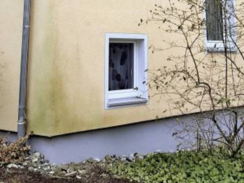 Algenbelag oder Schimmel können die Haftung der Farbe behindern oder später durch den Anstrich durchschlagen.