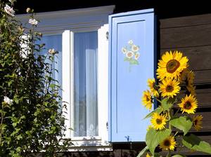 fensterlaeden-restaurieren-rost