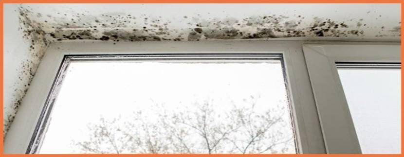 Schimmel am Fenster
