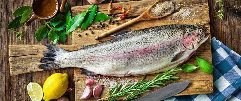 fisch-grillen-forelle