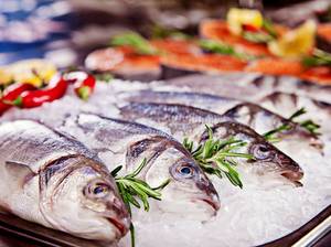 fisch-grillen-lagern