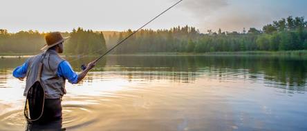 Fischfinder im Test & Vergleich: 2 klare Sieger! - heimwerker.de
