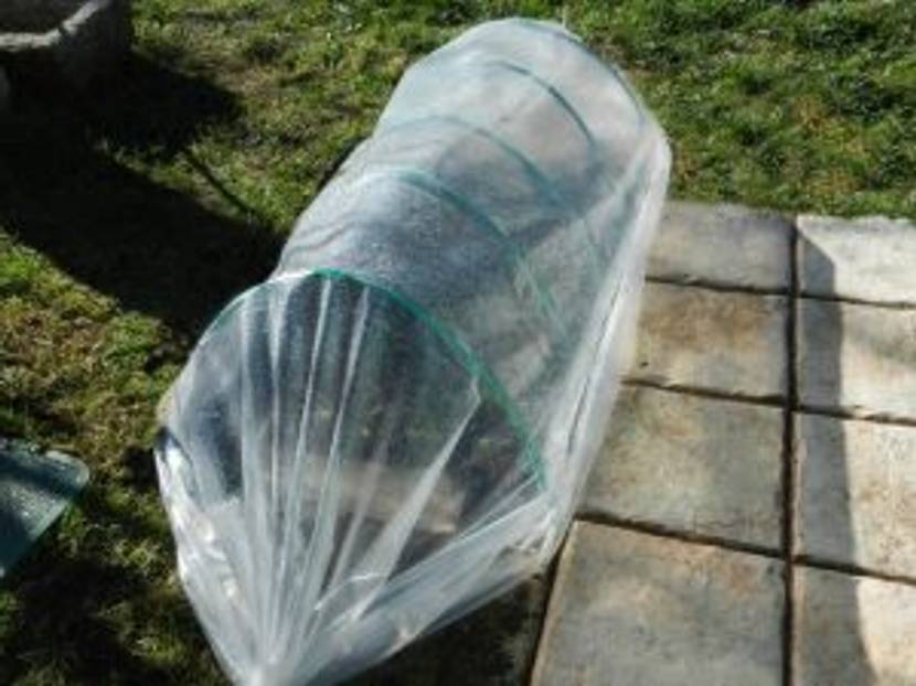 Folientunnel über kleinem Beet