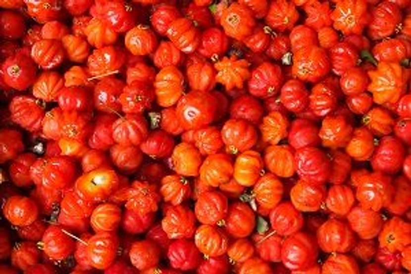 fruechte der kirschmyrte