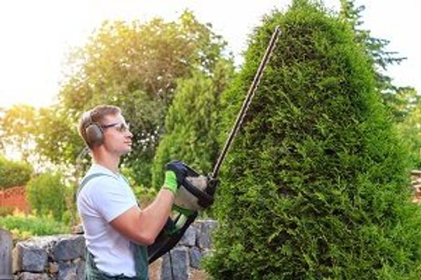 gaertner bei gartenarbeit