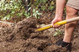 garten-arbeit