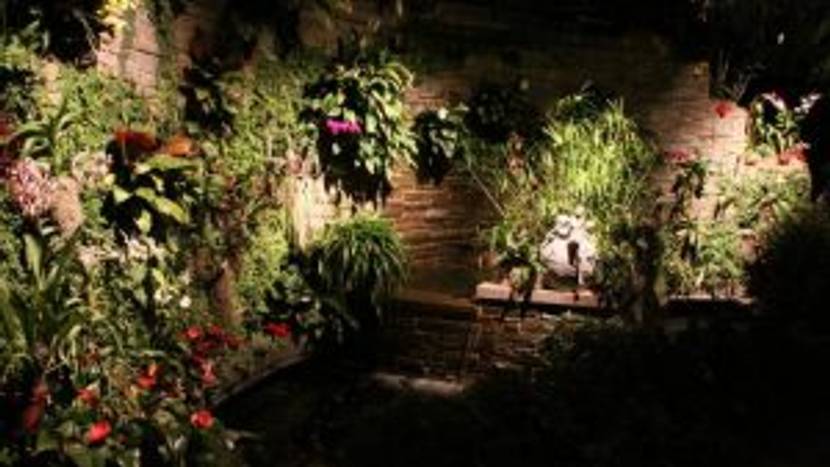 garten-bei-nacht
