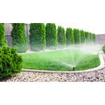 Zisterne einbauen: So speichern Sie Regenwasser direkt im Garten