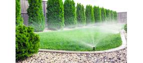 Zisterne einbauen: So speichern Sie Regenwasser direkt im Garten