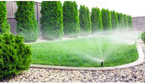 Zisterne einbauen: So speichern Sie Regenwasser direkt im Garten