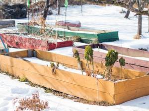 garten-winterfest-machen-beete
