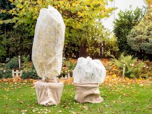 garten-winterfest-machen-vlies