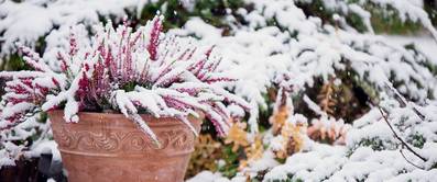 garten-winterfest-machen