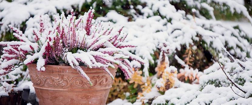 garten-winterfest-machen