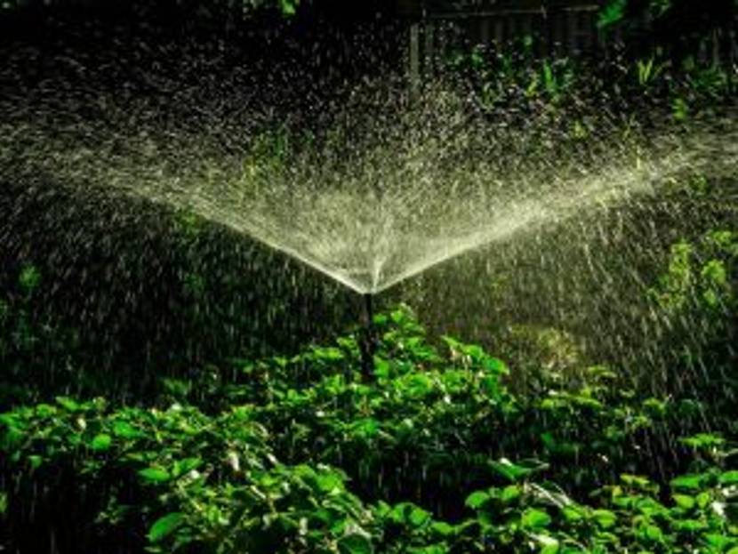 Eine automatische Gartenbewässerung lässt sich individuell programmieren.