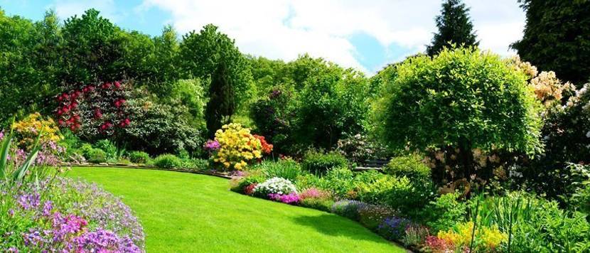 schöner Garten mit Rasen, Beeten und Bäumen