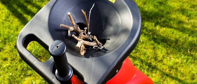 Roter Haecksler im Garten