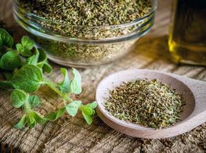 gartenkraeuter-oregano-anbau