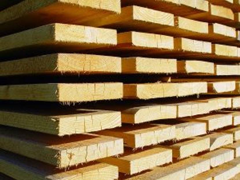 Nur geeignete Holzarten sollten für den Bau der Laube verwendet werden