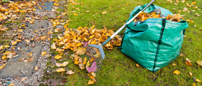 gartenabfallsack test