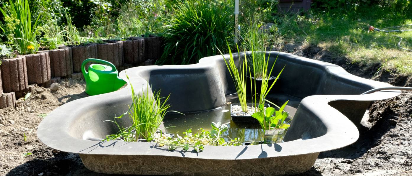 Teich im Garten In 5 einfachen Schritten einen Gartenteich anlegen