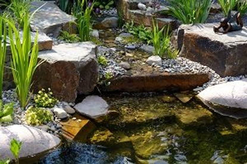 gartenteich mit figur