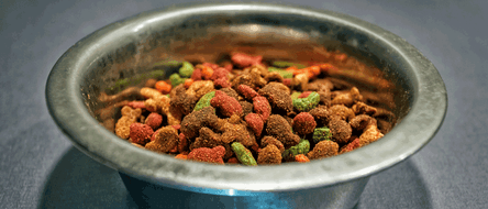 hundefutter proben Hundefutter Probierpaket: Kaltgepresstes Hundefutter & gebackene Leckerlis