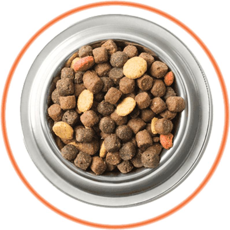Getreidefreies Hundefutter im Test & Vergleich: 2 klare Sieger! - heimwerker.de