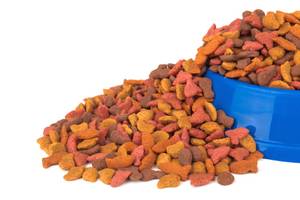 getreidefreies Trockenfutter für Hunde