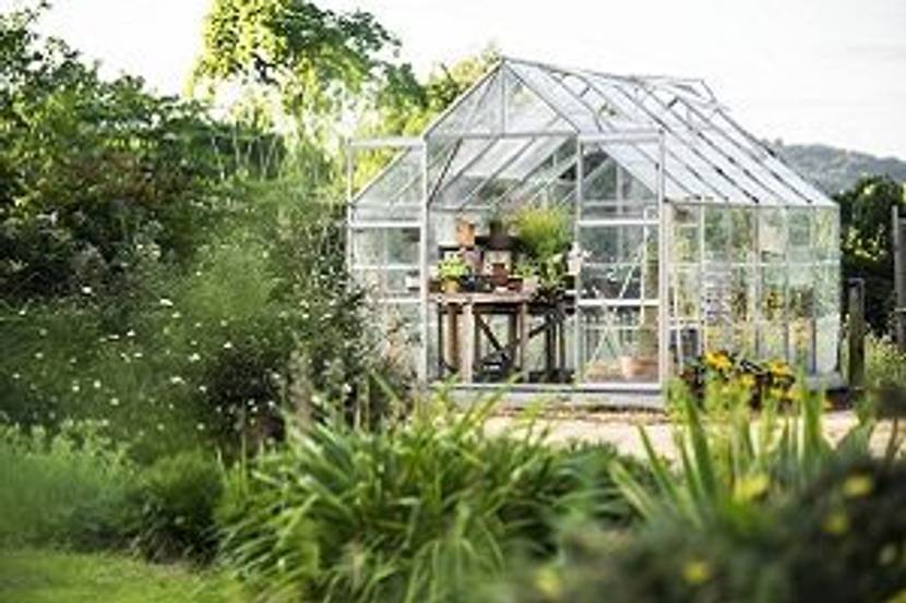 gewaechshaus im garten