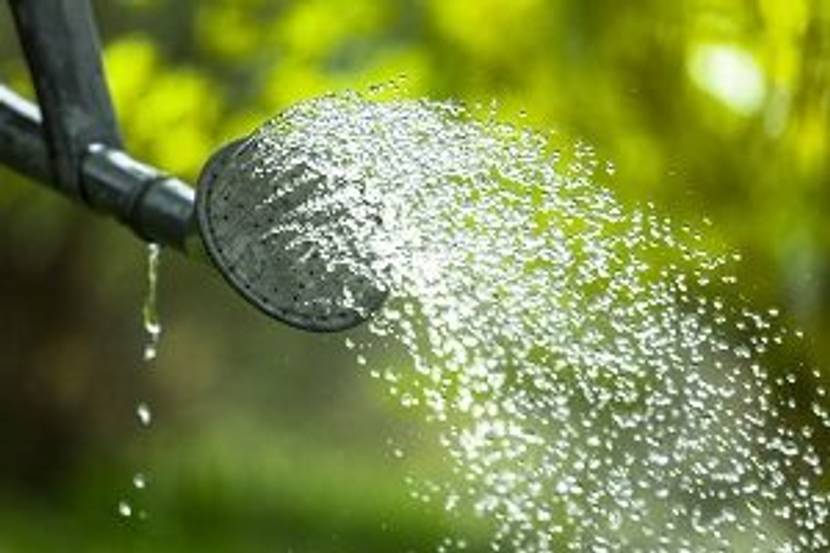 giesskanne mit wasser