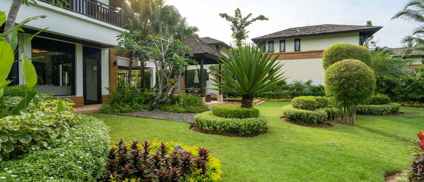 Ein moderner Garten mit Bäumen, Sträuchern und Hecken. Im Hintergrund sind das zugehörige Haus sowie das Nachbarshaus zu sehen.