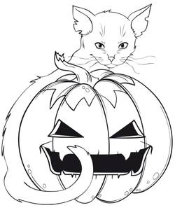 halloween malvorlage
