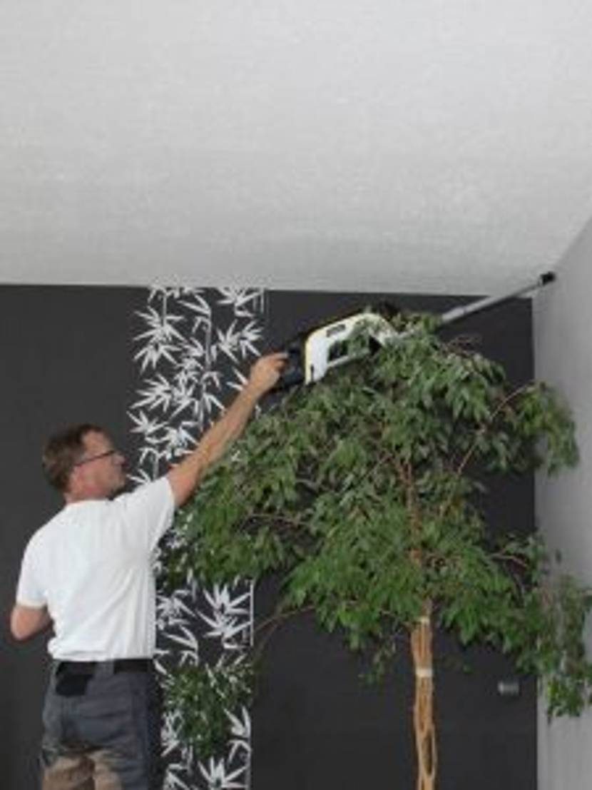 Reinigen & Pflege Test