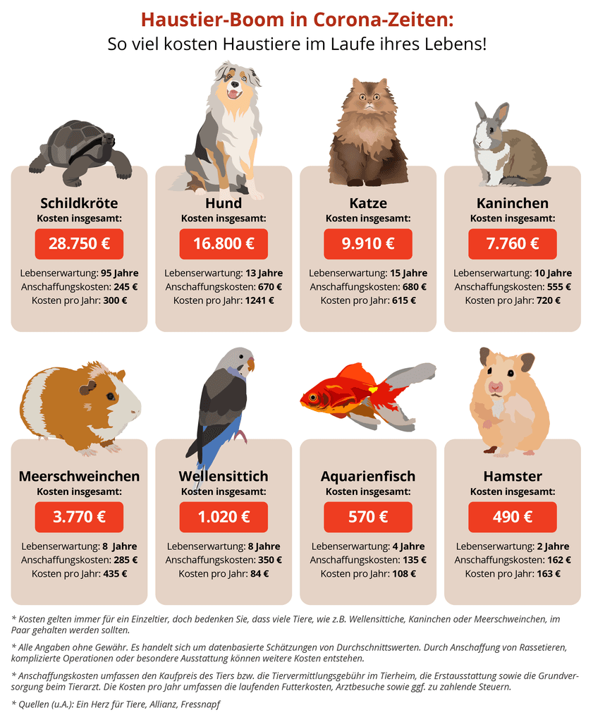 aufstellung-kosten-haustiere
