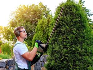 hecke-pflegen-schneiden