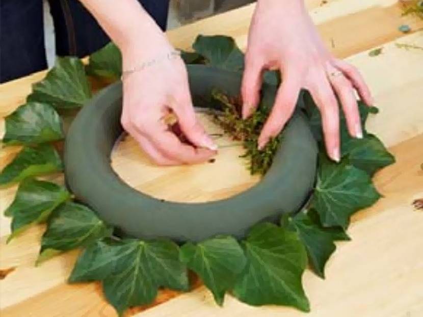 Moos am Ring befestigen