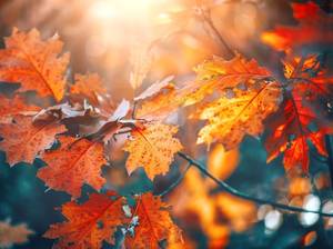 herbstlaub-bastelanleitung