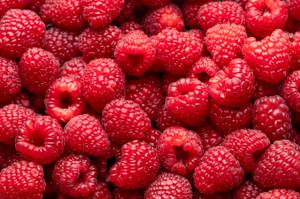 himbeeren-nahaufnahme-rot