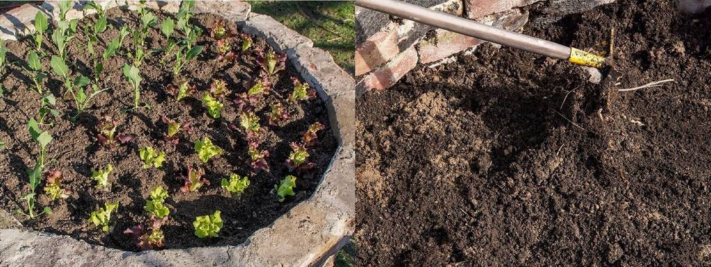 hochbeet-bauen-sechs