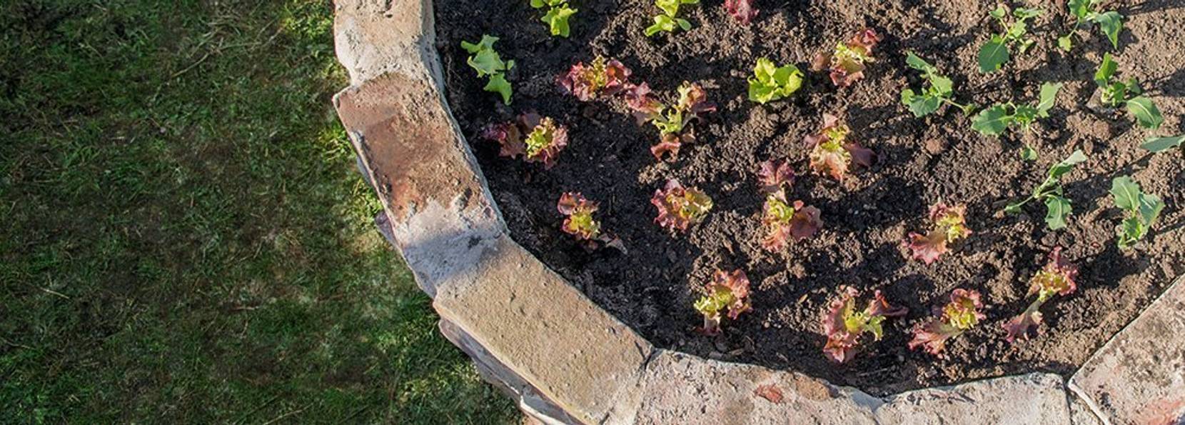 Hochbeet aus Ziegelsteinen selber bauen Anleitung in 6 Schritten